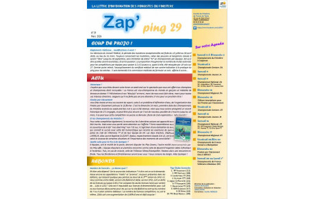 Zap'Ping n°39 février 2024